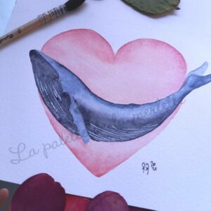 Baleine coeur aquarelle